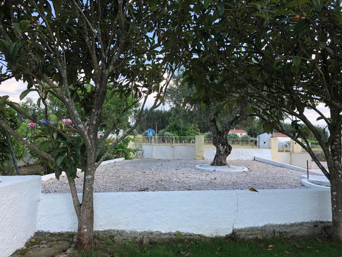 A Casa Amarela Apartment Pinheiro de Coja Ngoại thất bức ảnh