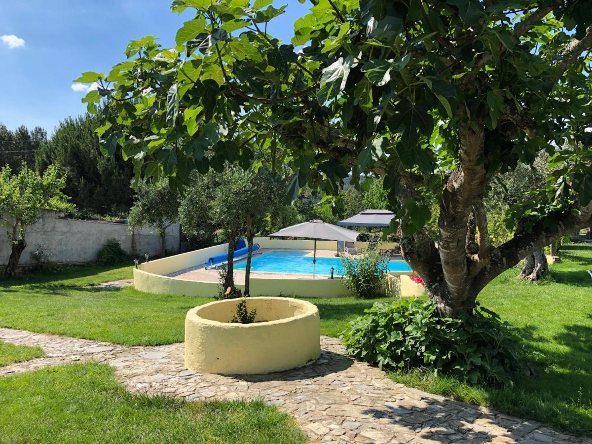A Casa Amarela Apartment Pinheiro de Coja Ngoại thất bức ảnh